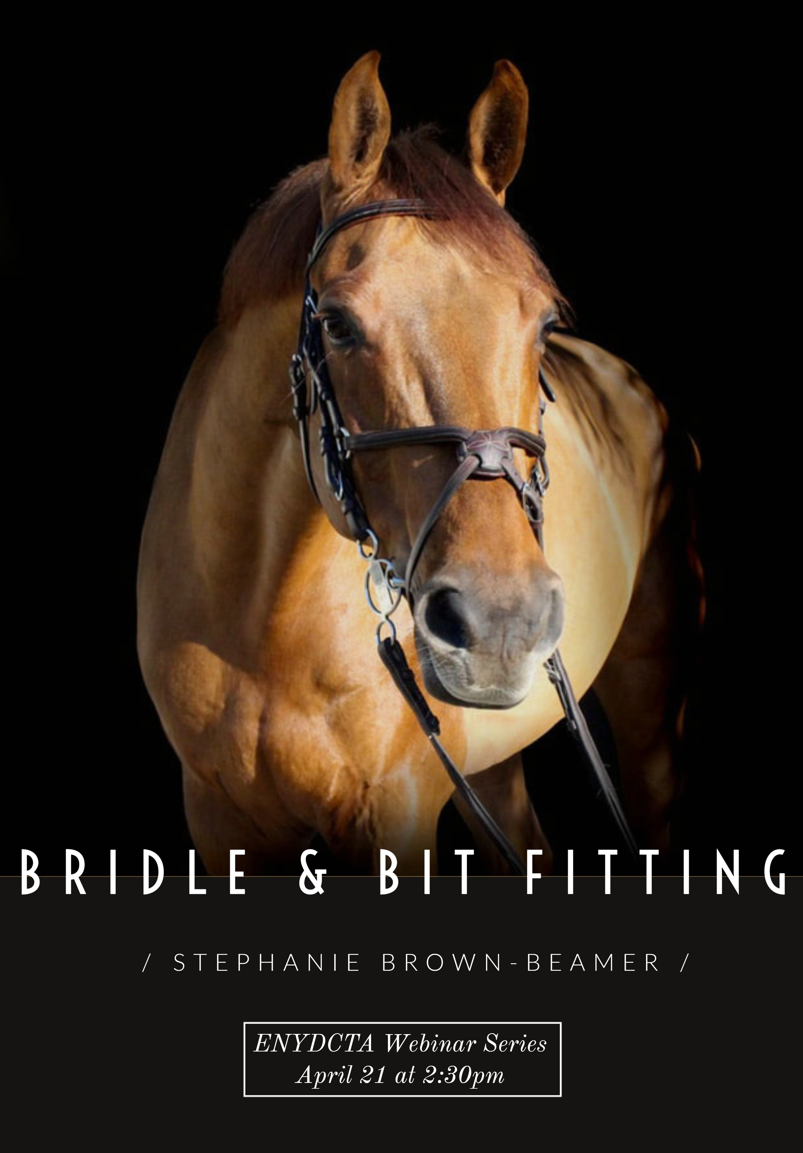 "Bridle and Bit Fitting.jpg"