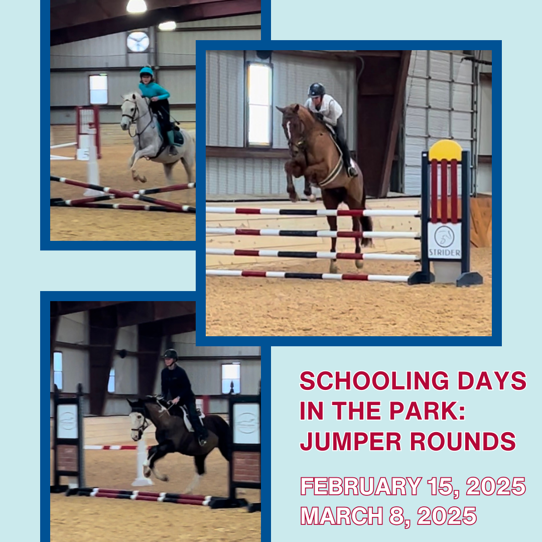 "Schooling days in the park jumper rounds.png"