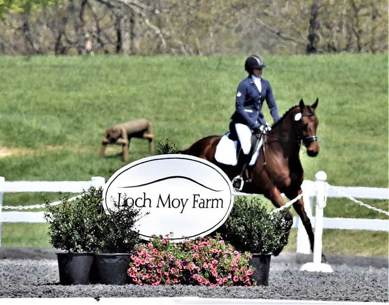 "Loch Moy Dressage pic.jpg"