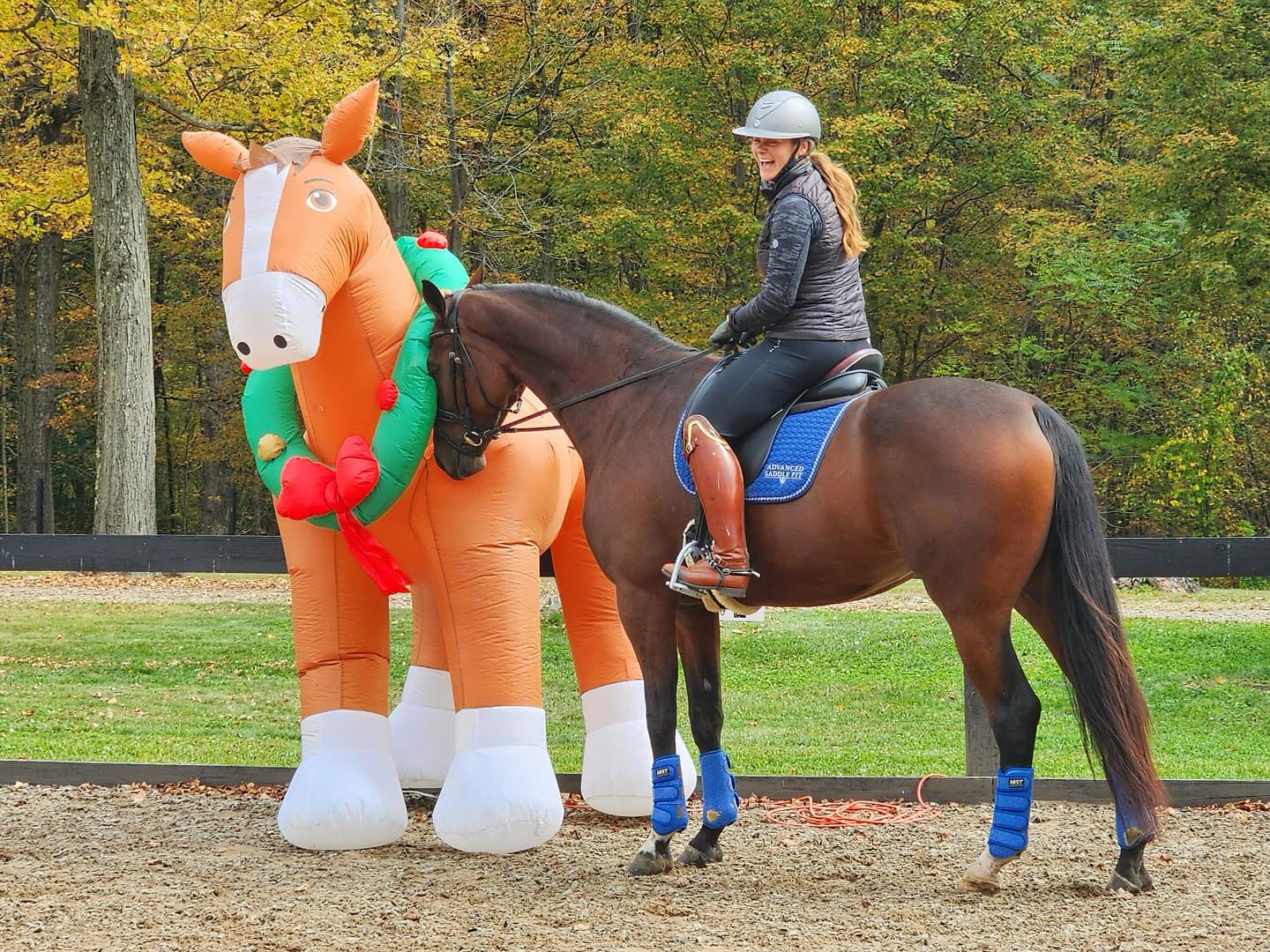 "BlueWoodFarm_DressageHorse_Obstacle_SaraVanecek.jpg"